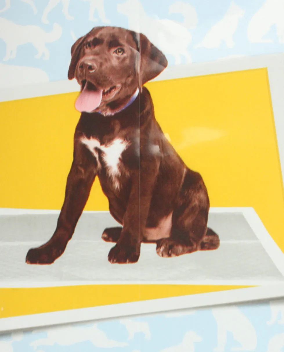 Animal Planet 50 Count Training Pads for Dogs