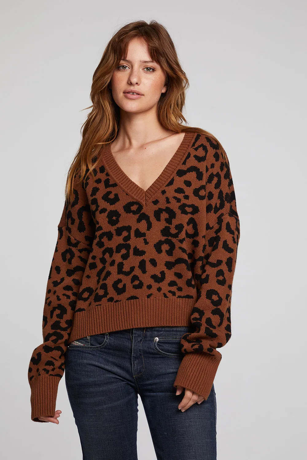 Bolinas Leopard Print Pullover