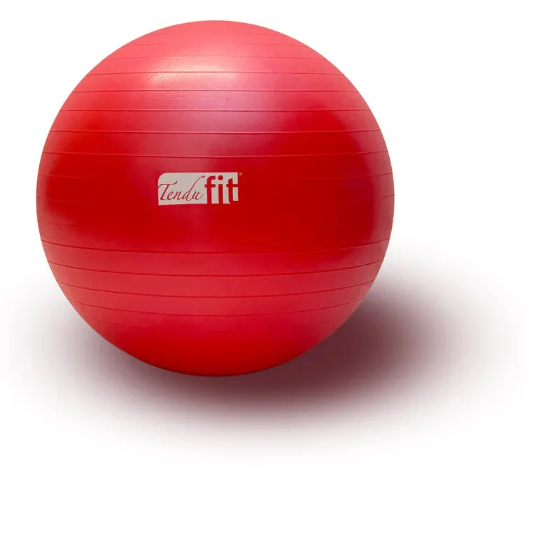 Tendu Stability Yoga Fitness Ball (with foot pump)